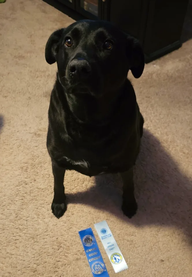 image-_1_-_2_.compressed