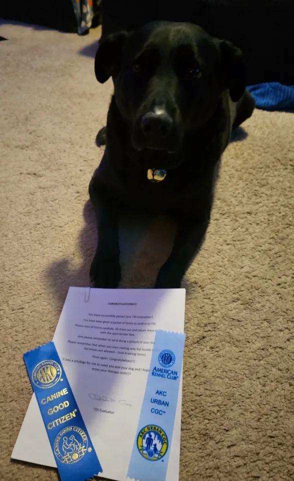 image-_50_.compressed